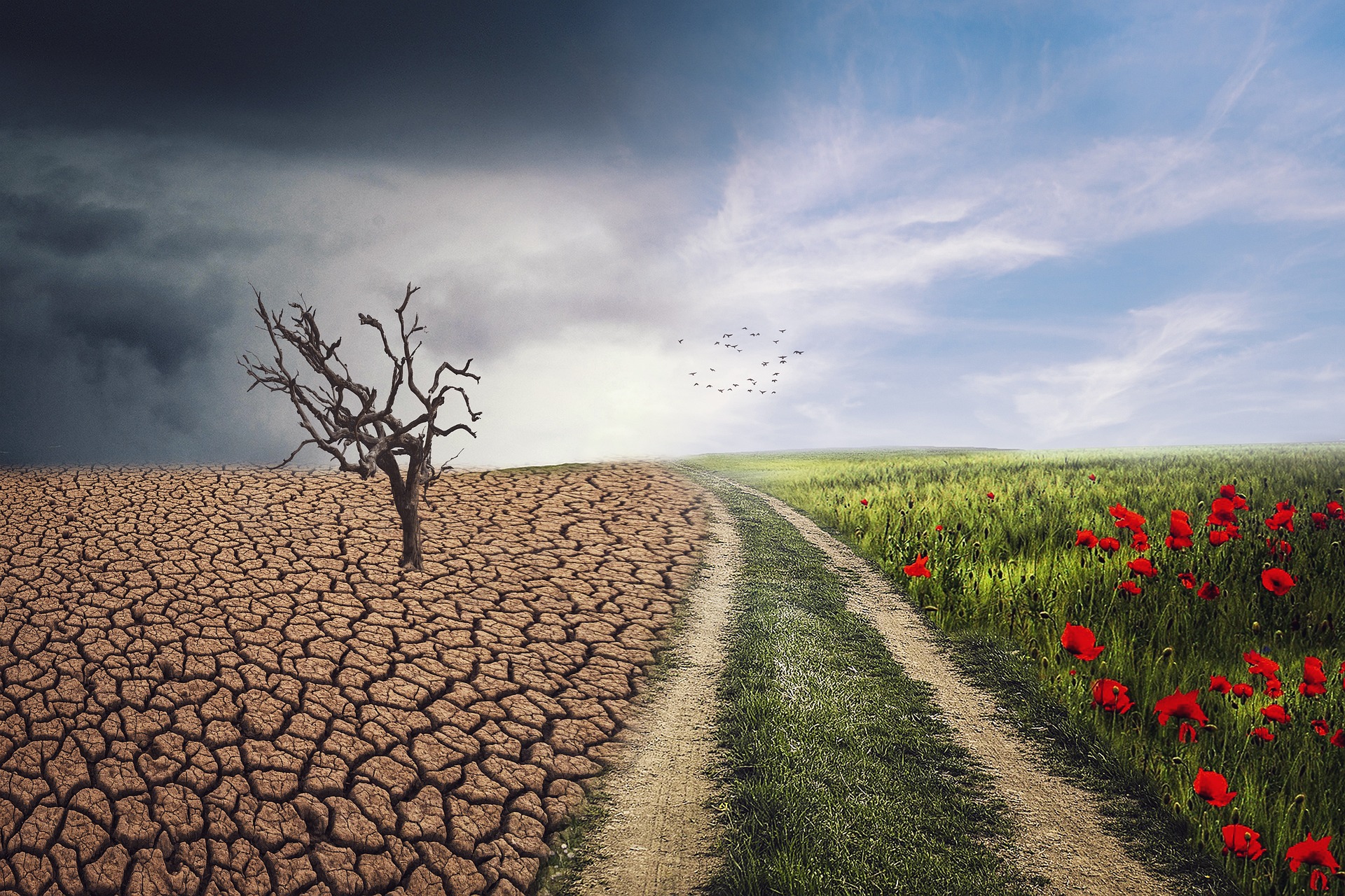You are currently viewing Quelle est la différence entre météo et climat ?